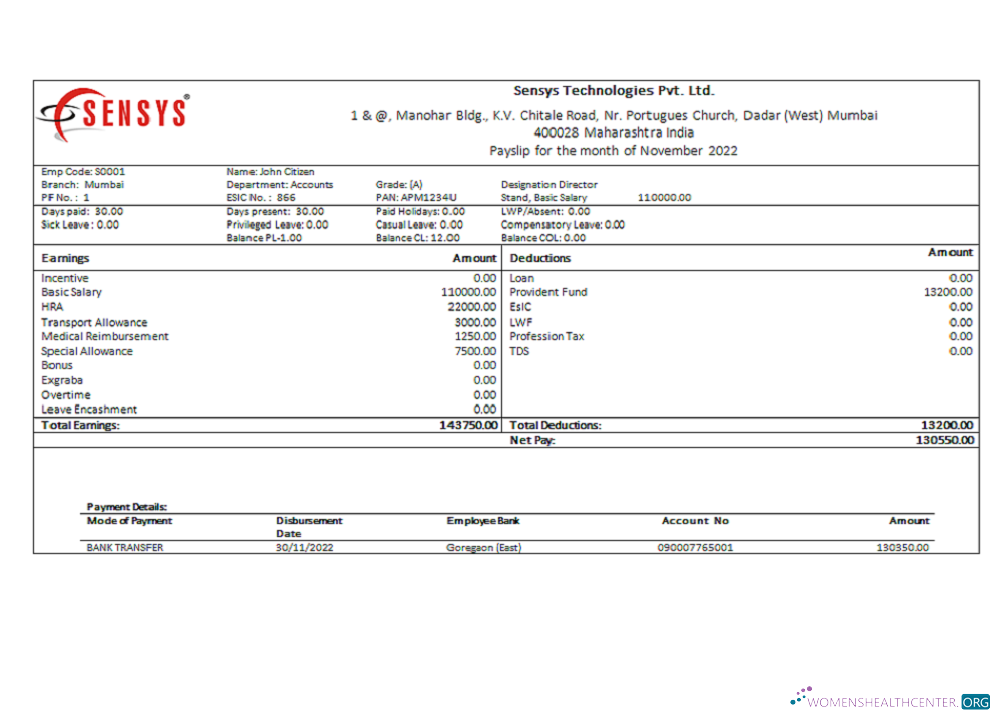 Download India Sensys technologies Pvt IT technologies Photoshop template